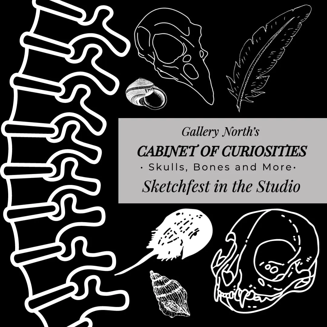 03-29 Cabinet of Curiosities Sketch Night; Skulls, Bones & More!