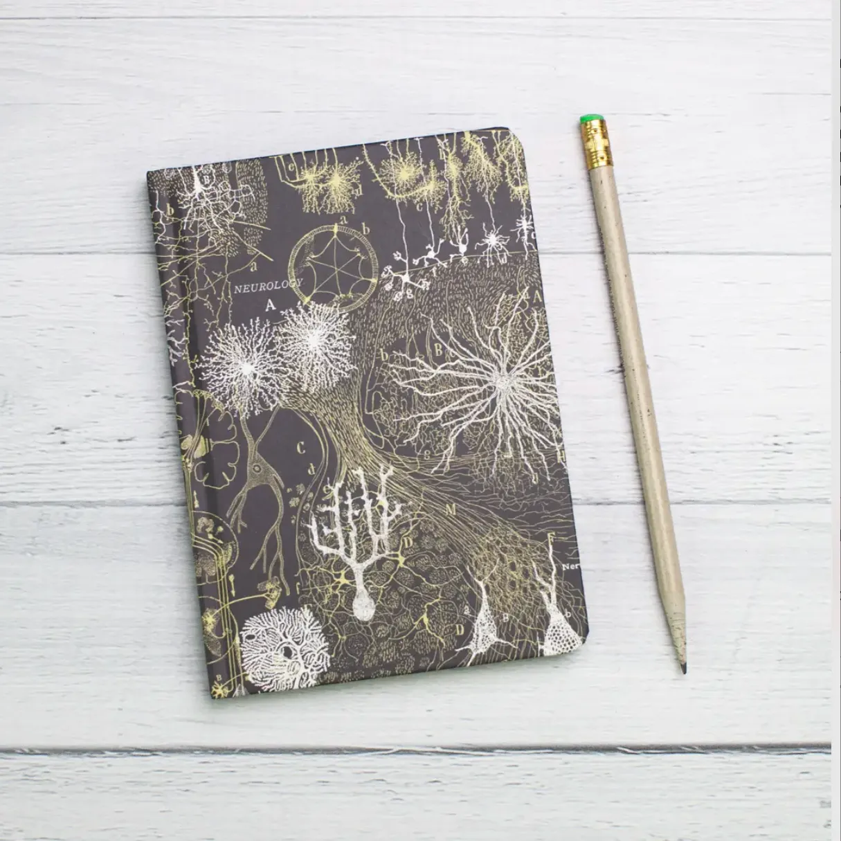 50% Off • Mini Hardcover Notebook Dot Grid • Neurons