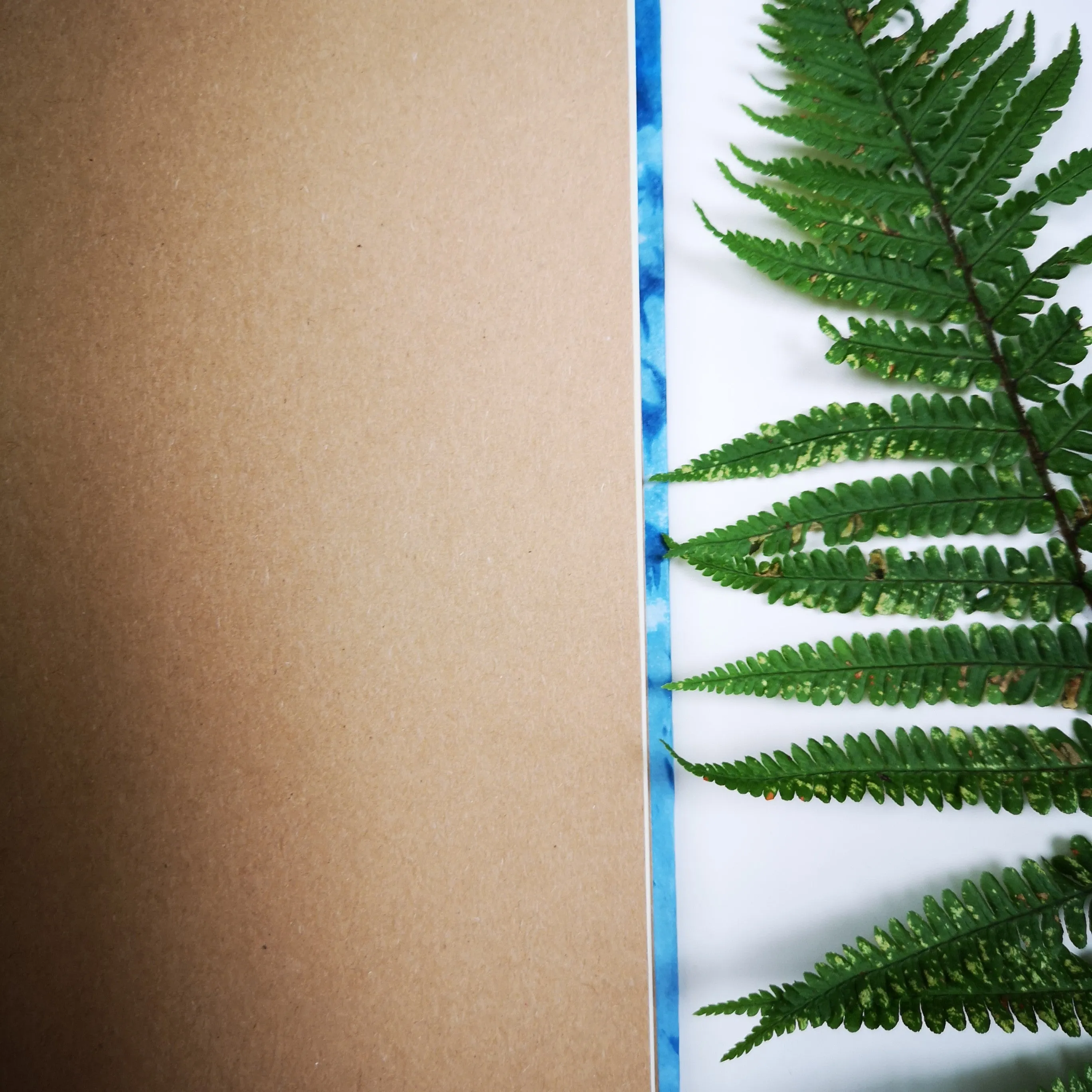 Handbound journal / notebook / diary -  fern design