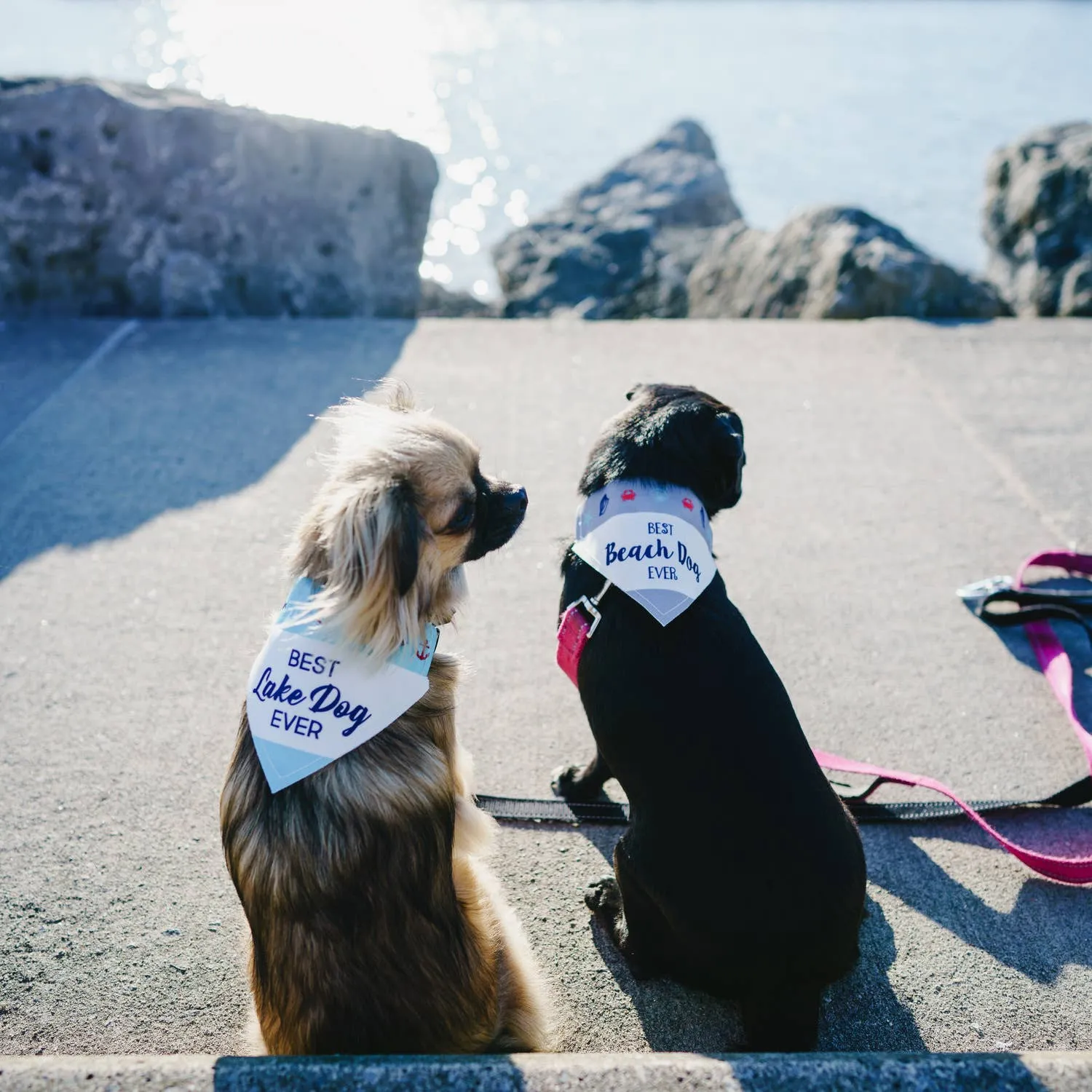 Lake Dog - Canvas Slip-on Pet Bandana