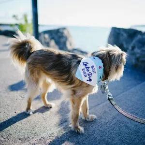 Lake Dog - Canvas Slip-on Pet Bandana