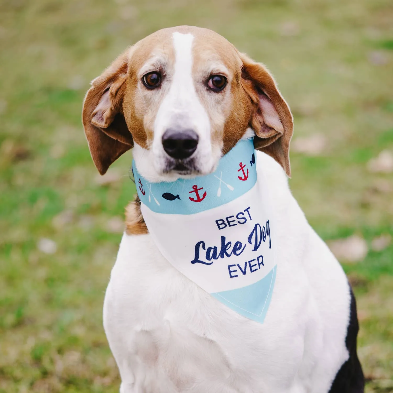 Lake Dog - Canvas Slip-on Pet Bandana