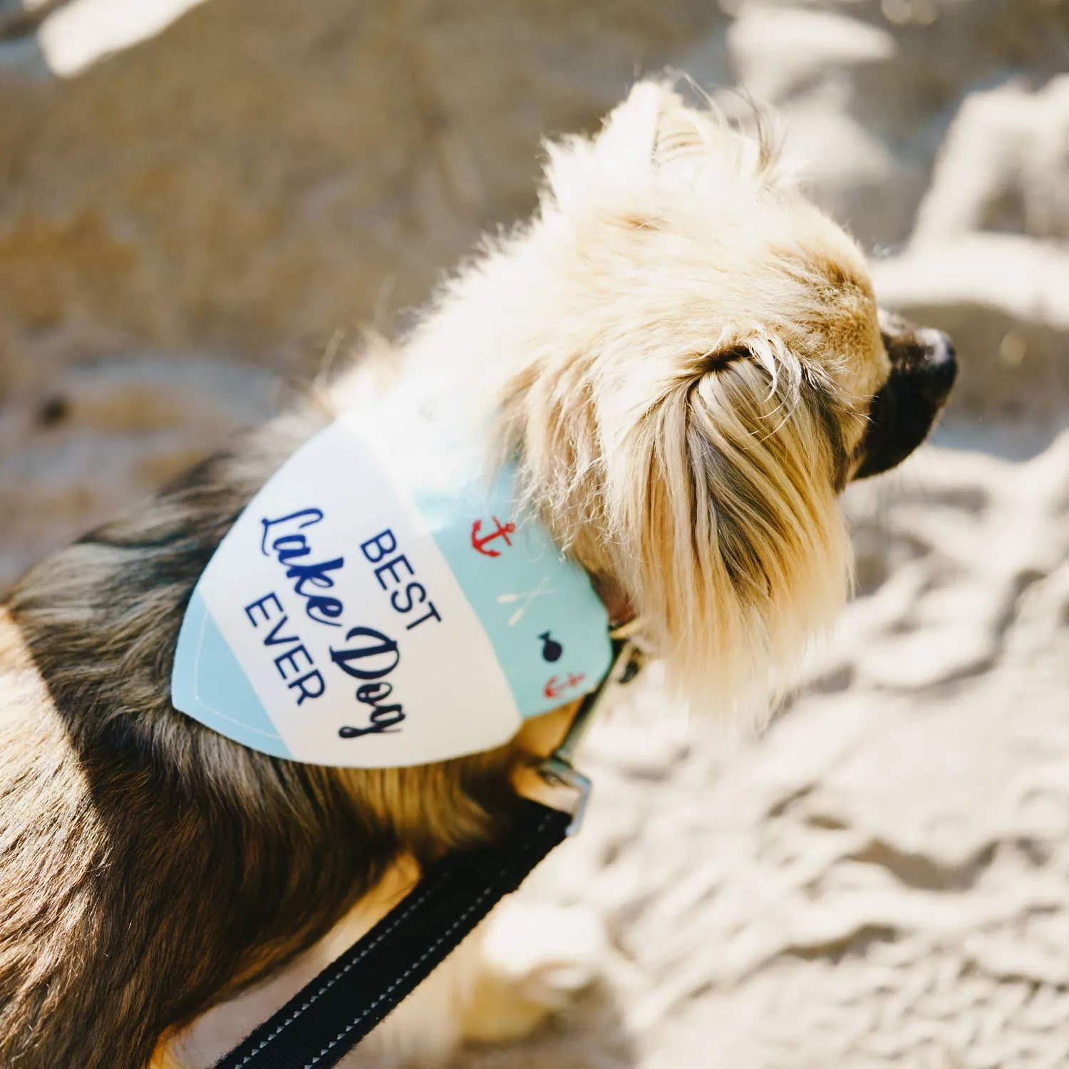 Lake Dog - Canvas Slip-on Pet Bandana