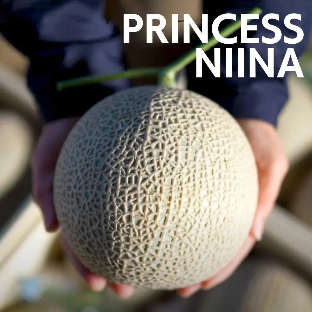 ”Princess Niina Gift Box" approx.1.5kg, from Kochi