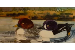 "Goldeneye Barrows" by Thomas Merriam