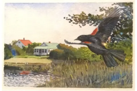 "Red Wing and Cottage" by Thomas Merriam