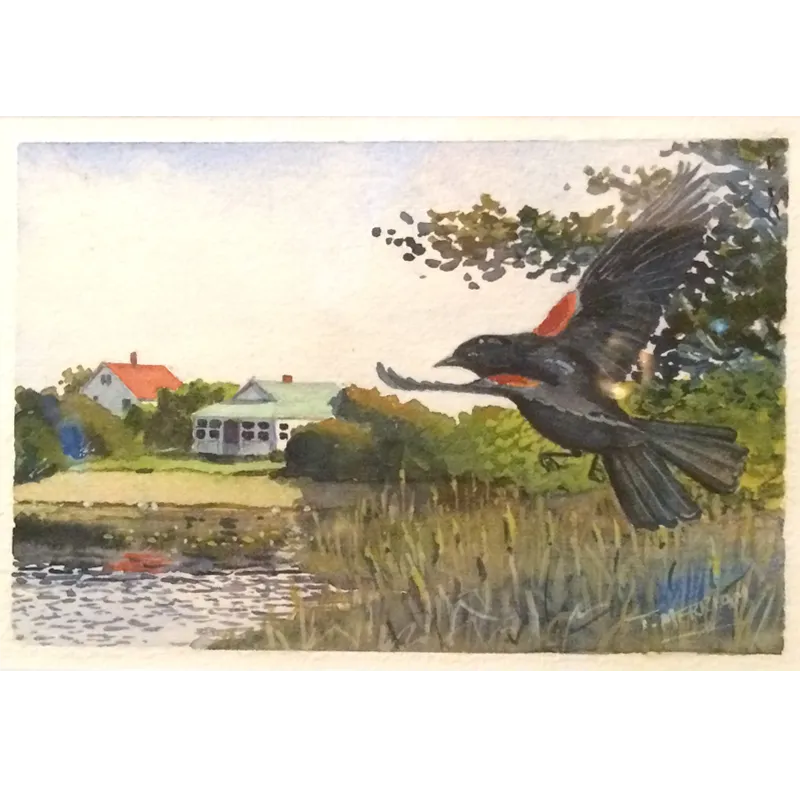 "Red Wing and Cottage" by Thomas Merriam