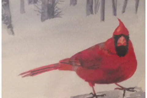 "Winter Cardinal" by Tom Merriam