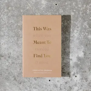 This Was Meant To Find You (When You Needed It Most) - Book