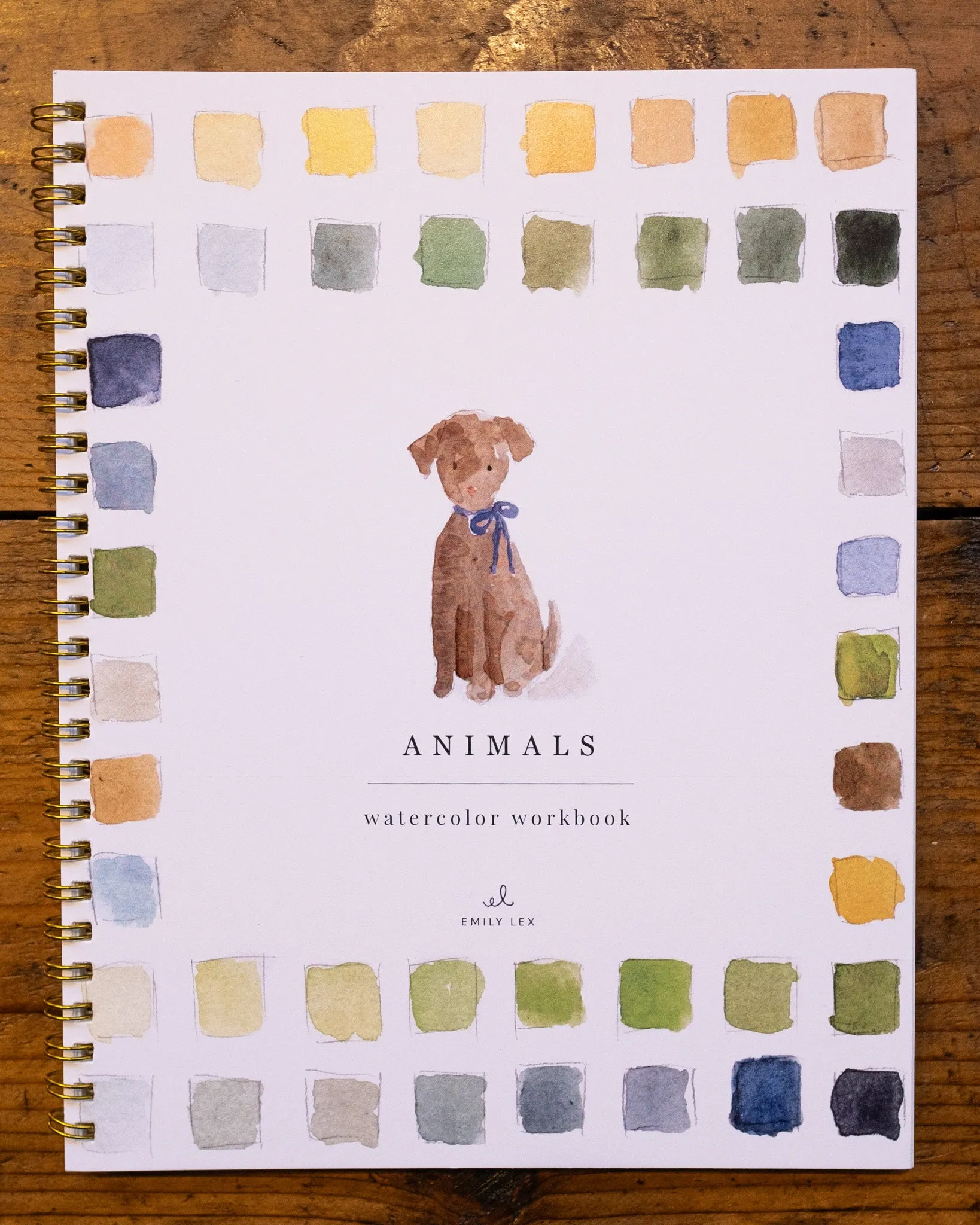 Watercolor Workbooks